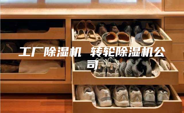 工厂除湿机 转轮除湿机公司