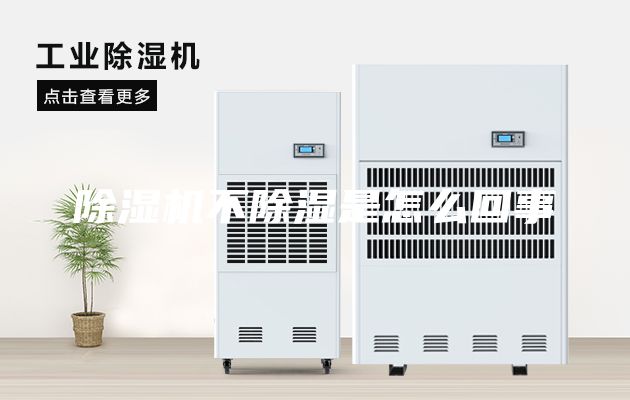 除湿机不除湿是怎么回事
