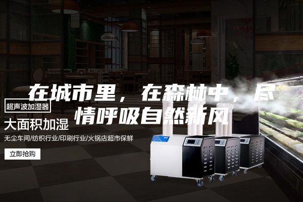 在城市里，在森林中，尽情呼吸自然新风