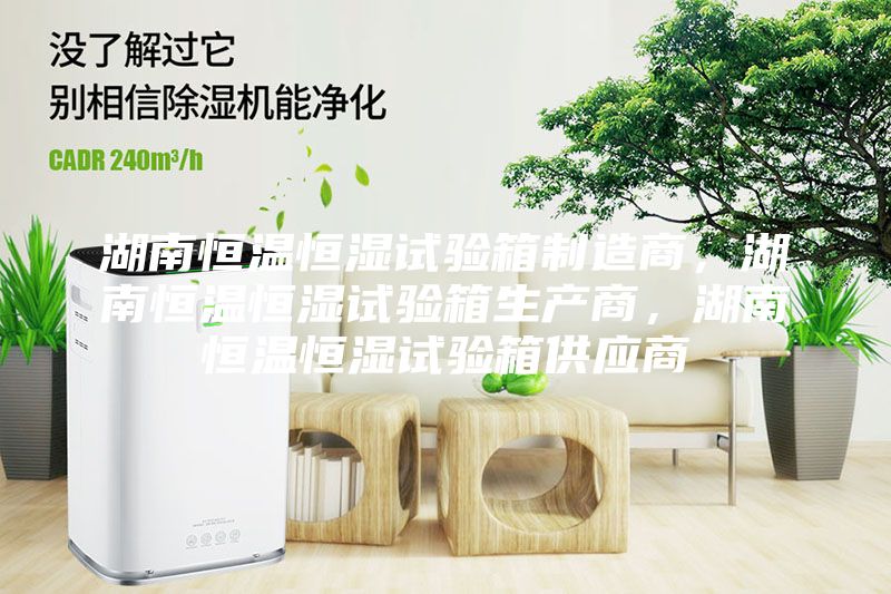 湖南恒温恒湿试验箱制造商，湖南恒温恒湿试验箱生产商，湖南恒温恒湿试验箱供应商