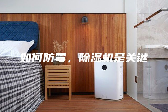 如何防霉，除湿机是关键