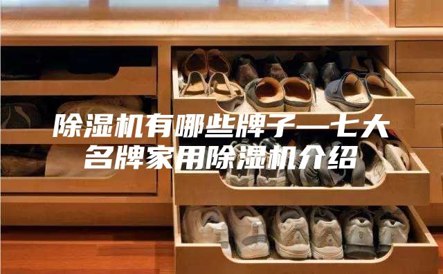 除湿机有哪些牌子—七大名牌家用除湿机介绍