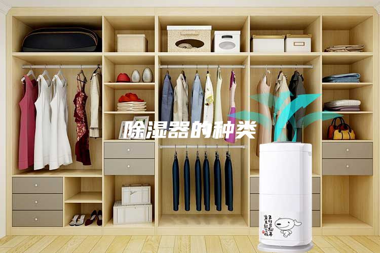 除湿器的种类
