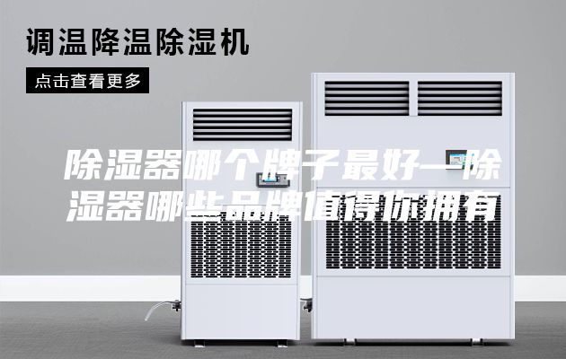 除湿器哪个牌子最好—除湿器哪些品牌值得你拥有