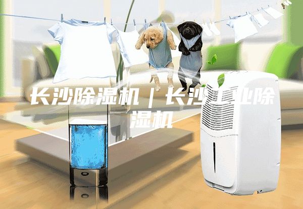 长沙除湿机｜长沙工业除湿机