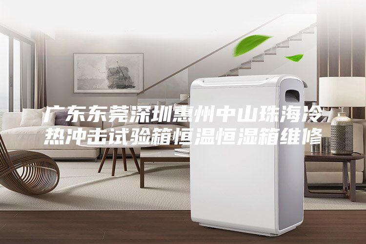 广东东莞深圳惠州中山珠海冷热冲击试验箱恒温恒湿箱维修