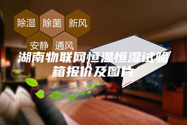 湖南物联网恒温恒湿试验箱报价及图片