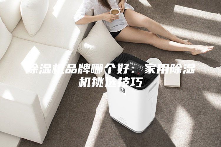除湿机品牌哪个好：家用除湿机挑选技巧