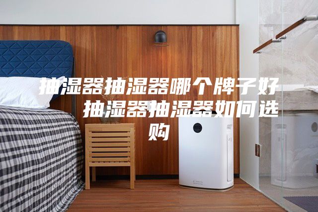 抽湿器抽湿器哪个牌子好   抽湿器抽湿器如何选购