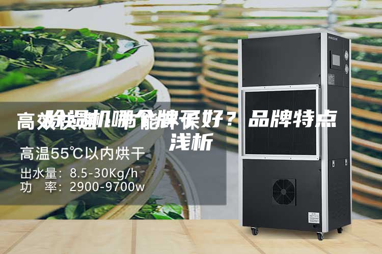 除湿机哪个牌子好？品牌特点浅析