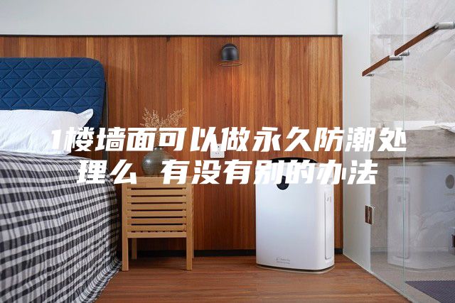 1楼墙面可以做永久防潮处理么 有没有别的办法
