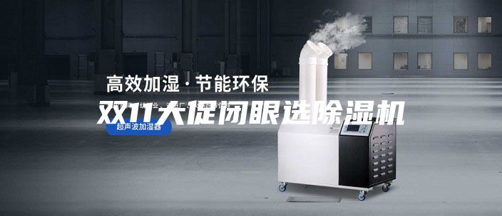 双11大促闭眼选除湿机