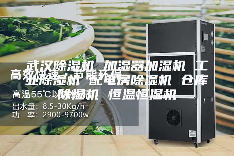 武汉除湿机 加湿器加湿机 工业除湿机 配电房除湿机 仓库除湿机 恒温恒湿机
