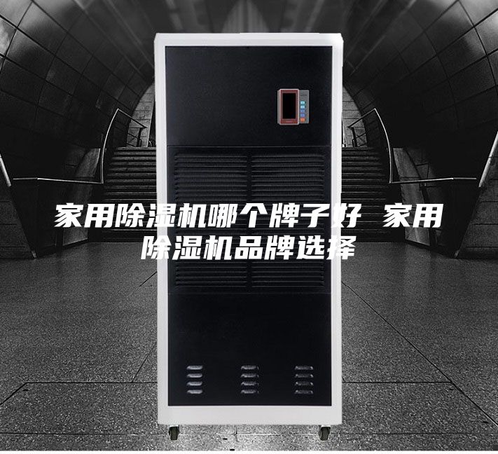 家用除湿机哪个牌子好 家用除湿机品牌选择
