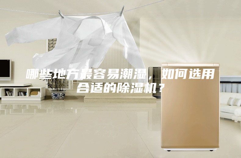 哪些地方最容易潮湿，如何选用合适的除湿机？