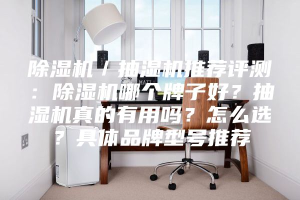 除湿机／抽湿机推荐评测：除湿机哪个牌子好？抽湿机真的有用吗？怎么选？具体品牌型号推荐