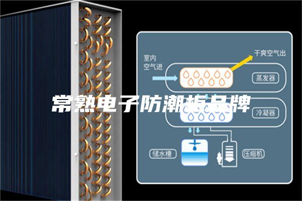 常熟电子防潮柜品牌