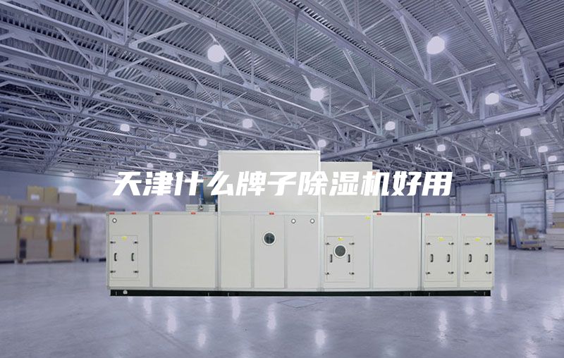 天津什么牌子除湿机好用
