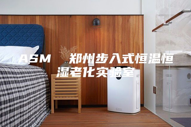 ASM  郑州步入式恒温恒湿老化实验室