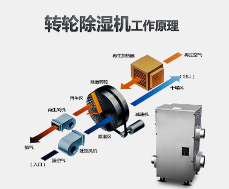 除湿机有什么用？