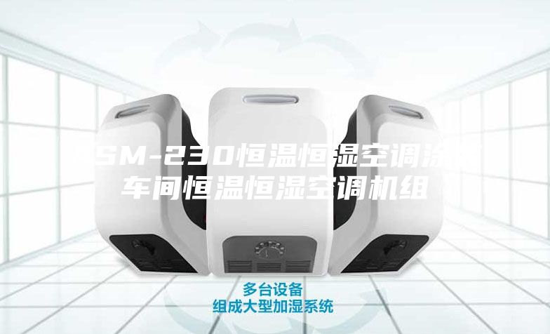 ASM-230恒温恒湿空调涂装车间恒温恒湿空调机组