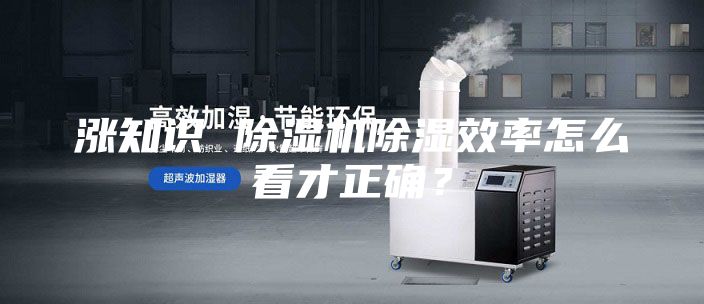 涨知识 除湿机除湿效率怎么看才正确？