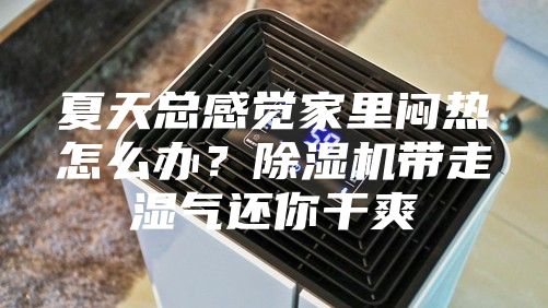 夏天总感觉家里闷热怎么办？除湿机带走湿气还你干爽