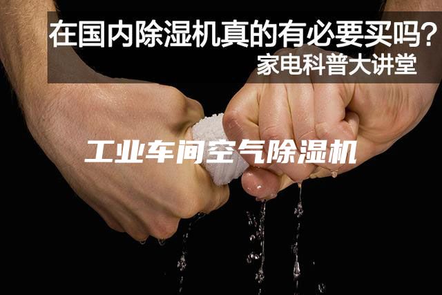 工业车间空气除湿机