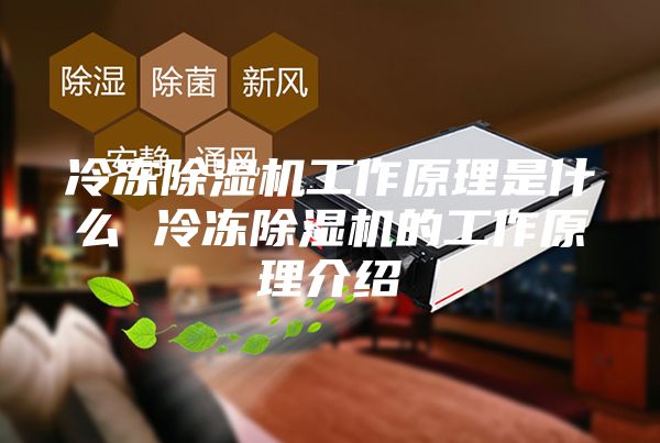 冷冻除湿机工作原理是什么 冷冻除湿机的工作原理介绍
