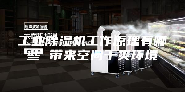 工业除湿机工作原理有哪些 带来空间干爽环境
