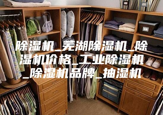 除湿机_芜湖除湿机_除湿机价格_工业除湿机_除湿机品牌_抽湿机