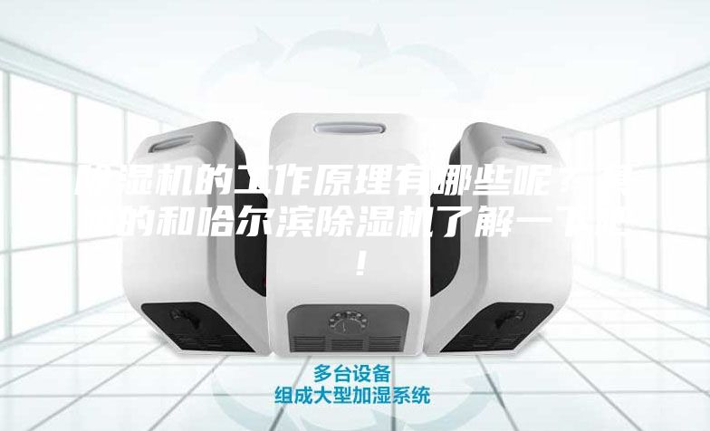 除湿机的工作原理有哪些呢？具体的和哈尔滨除湿机了解一下吧！