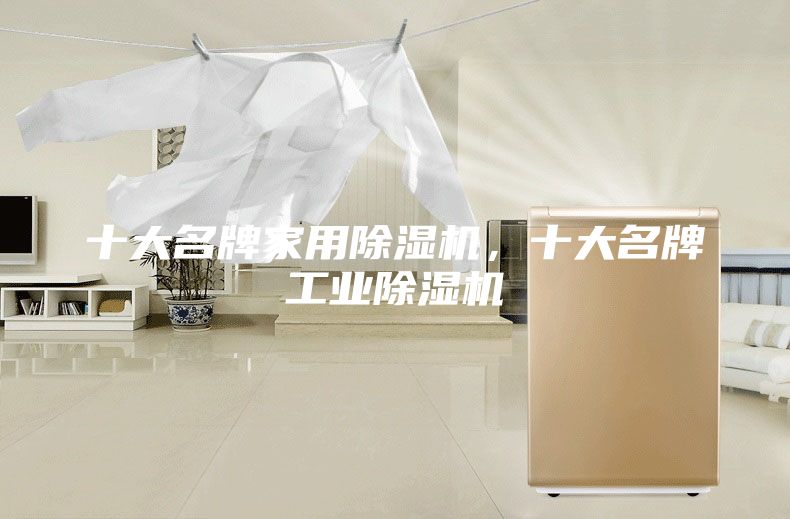 十大名牌家用除湿机，十大名牌工业除湿机