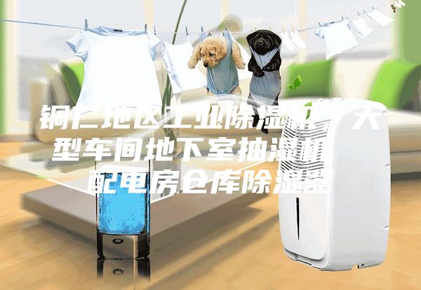 铜仁地区工业除湿机，大型车间地下室抽湿机  配电房仓库除湿器