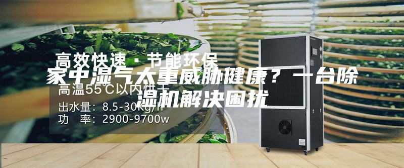 家中湿气太重威胁健康？一台除湿机解决困扰