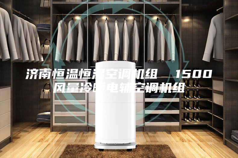 济南恒温恒湿空调机组  1500风量冷暖电辅空调机组