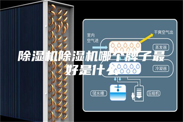 除湿机除湿机哪个牌子最好是什么