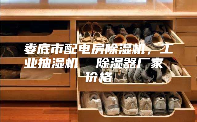 娄底市配电房除湿机，工业抽湿机  除湿器厂家 价格