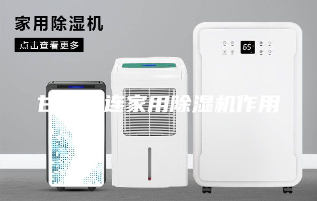 甘南大连家用除湿机作用