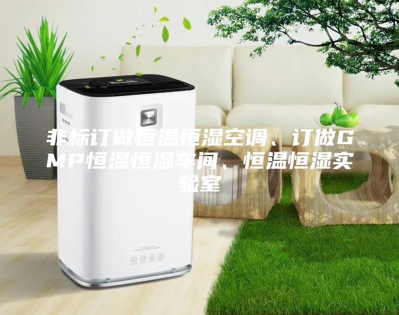 非标订做恒温恒湿空调、订做GMP恒温恒湿车间、恒温恒湿实验室