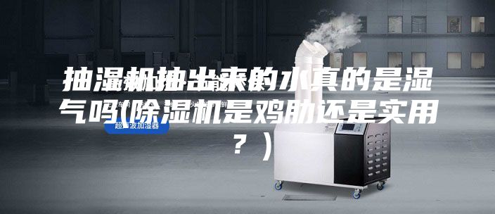 抽湿机抽出来的水真的是湿气吗(除湿机是鸡肋还是实用？)