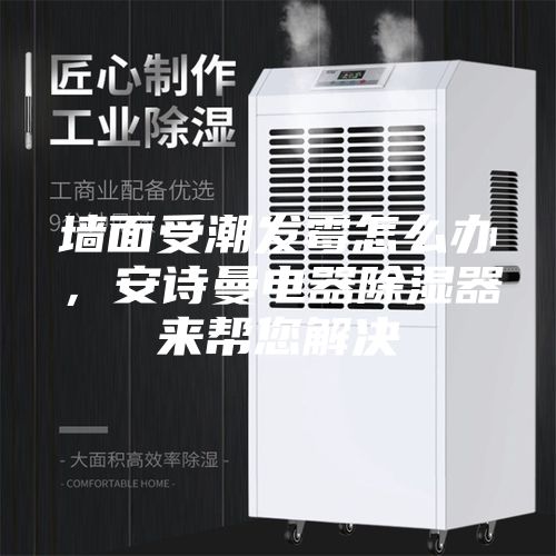 墙面受潮发霉怎么办，安诗曼电器除湿器来帮您解决
