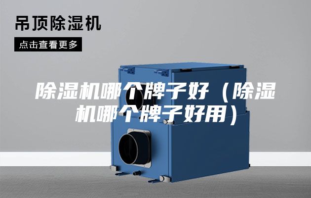 除湿机哪个牌子好（除湿机哪个牌子好用）
