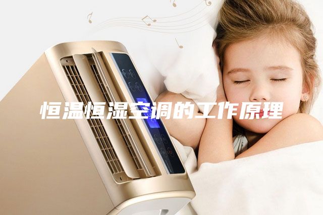 恒温恒湿空调的工作原理