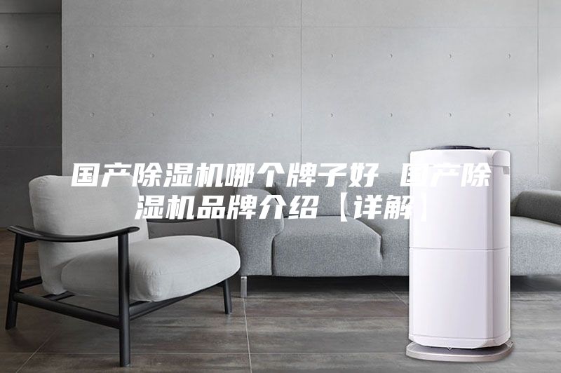 国产除湿机哪个牌子好 国产除湿机品牌介绍【详解】