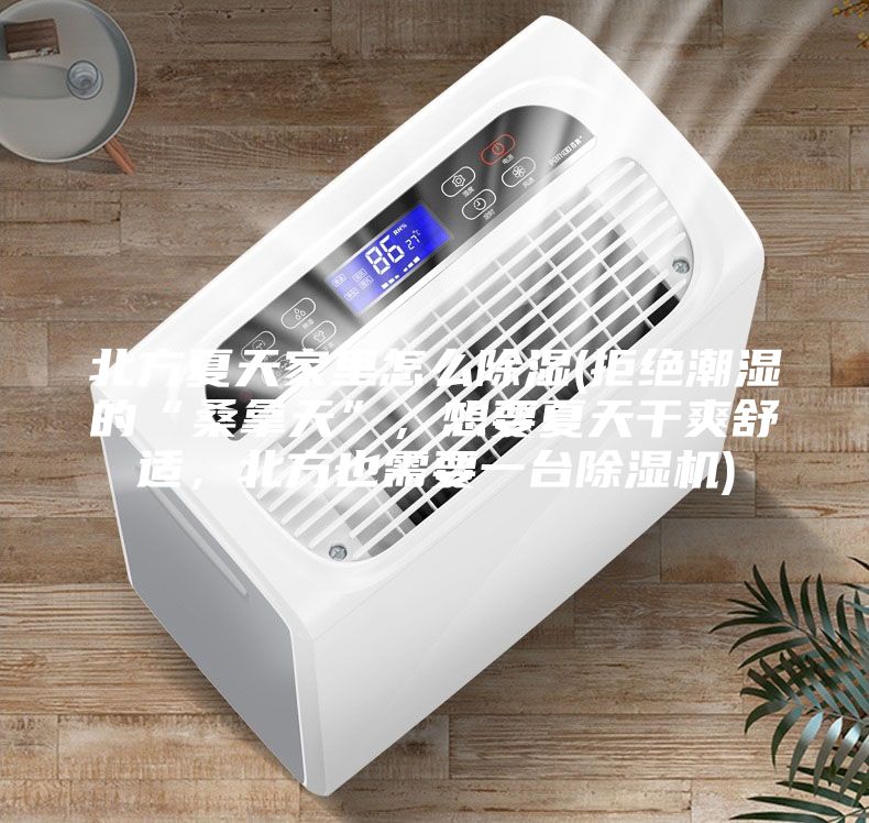 北方夏天家里怎么除湿(拒绝潮湿的“桑拿天”，想要夏天干爽舒适，北方也需要一台除湿机)