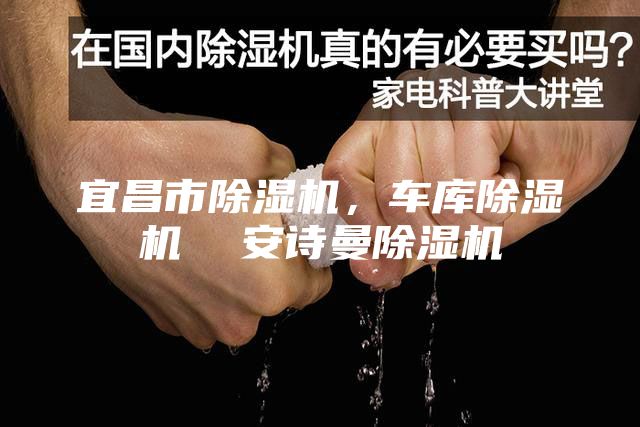 宜昌市除湿机，车库除湿机  安诗曼除湿机