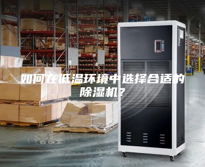 如何在低温环境中选择合适的除湿机？