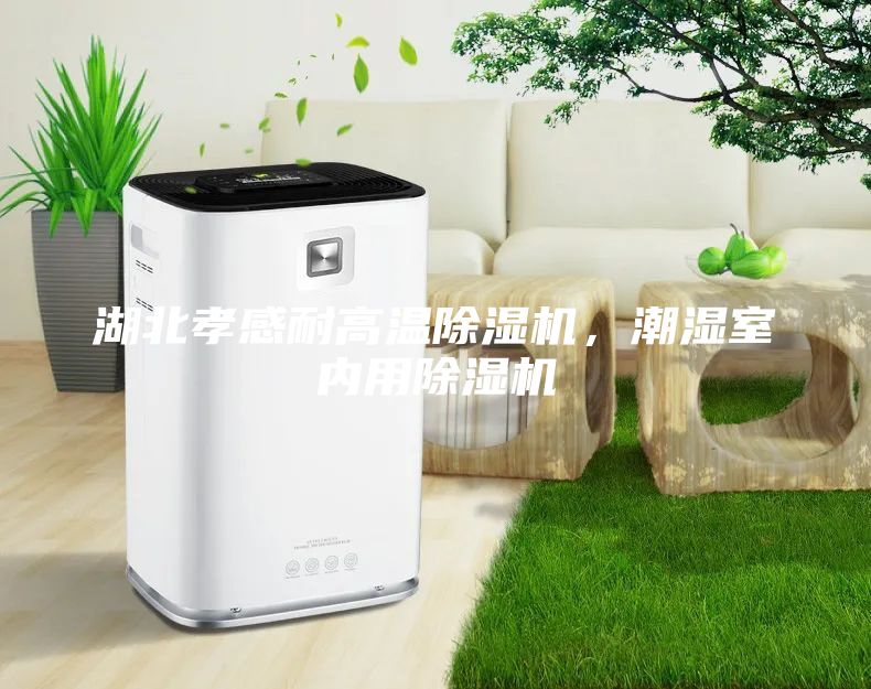 湖北孝感耐高温除湿机，潮湿室内用除湿机