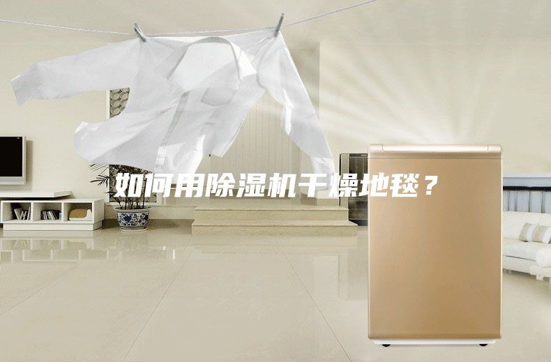 如何用除湿机干燥地毯？